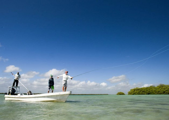 Playa del Carmen Fly Fishing Trips: Book Today from $375